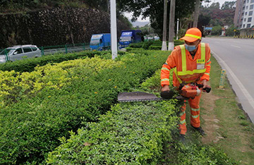 深圳市寶安區(qū)洲石公路（航城段）及鶴州立交周邊道路清掃保潔和綠化管養(yǎng)綜合服務(wù)項目